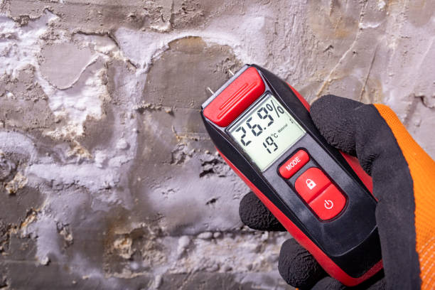 Certified Mold Removal in Brookville, IN