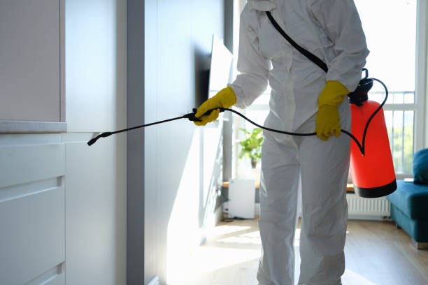 Best Toxic Mold Removal  in Brookville, IN