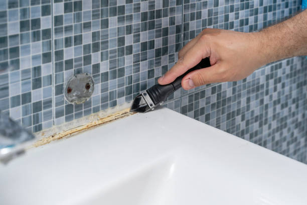 Best Certified Mold Removal  in Brookville, IN